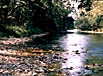 Indian Creek, MD